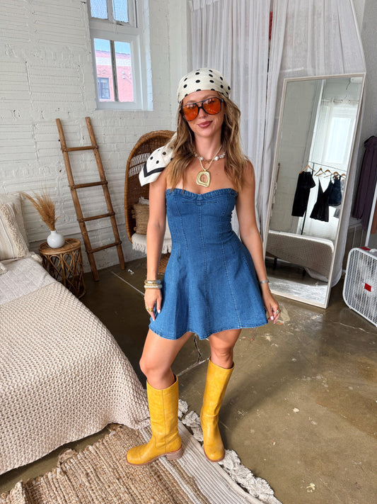 Alexis Denim Dress
