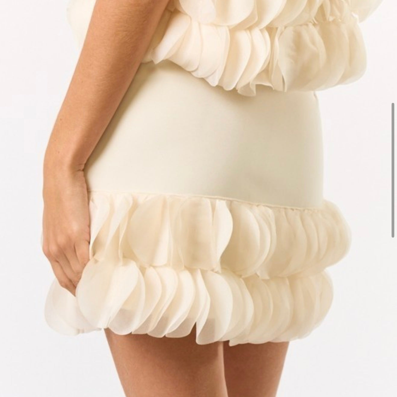 Chic Ruffle Skirt