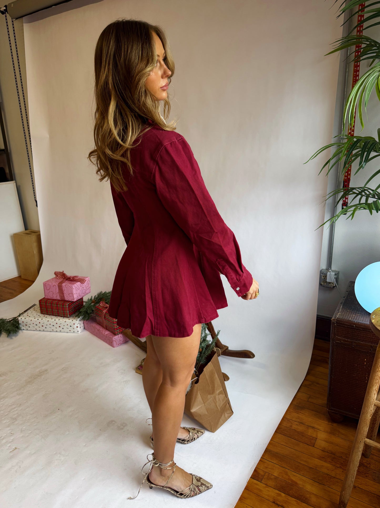 Rachel Mini Dress