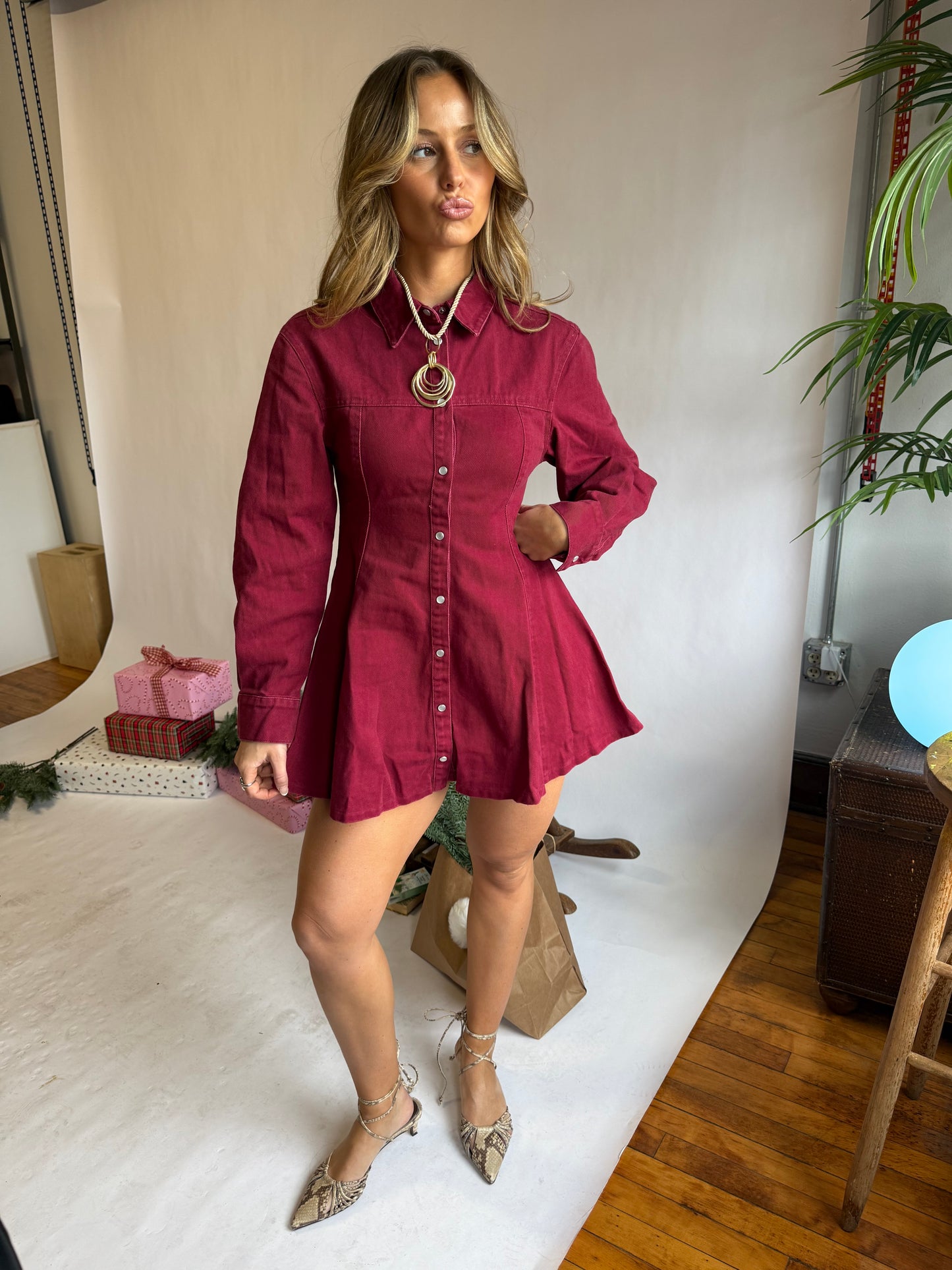 Rachel Mini Dress
