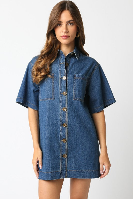 Denim Mini Dress