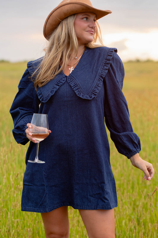 Annabelle Collared Dress