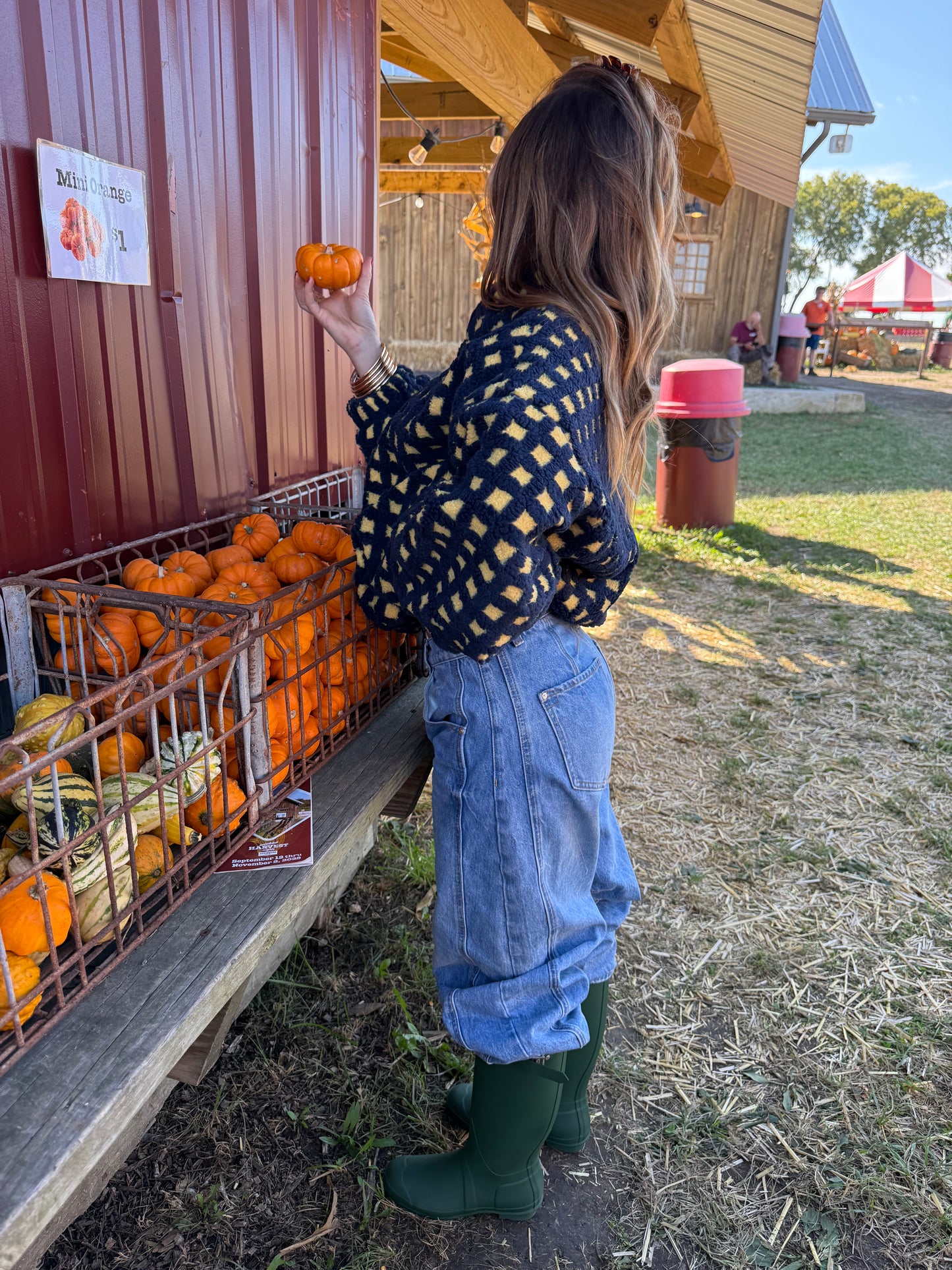 Blueberry Pie Sherpa