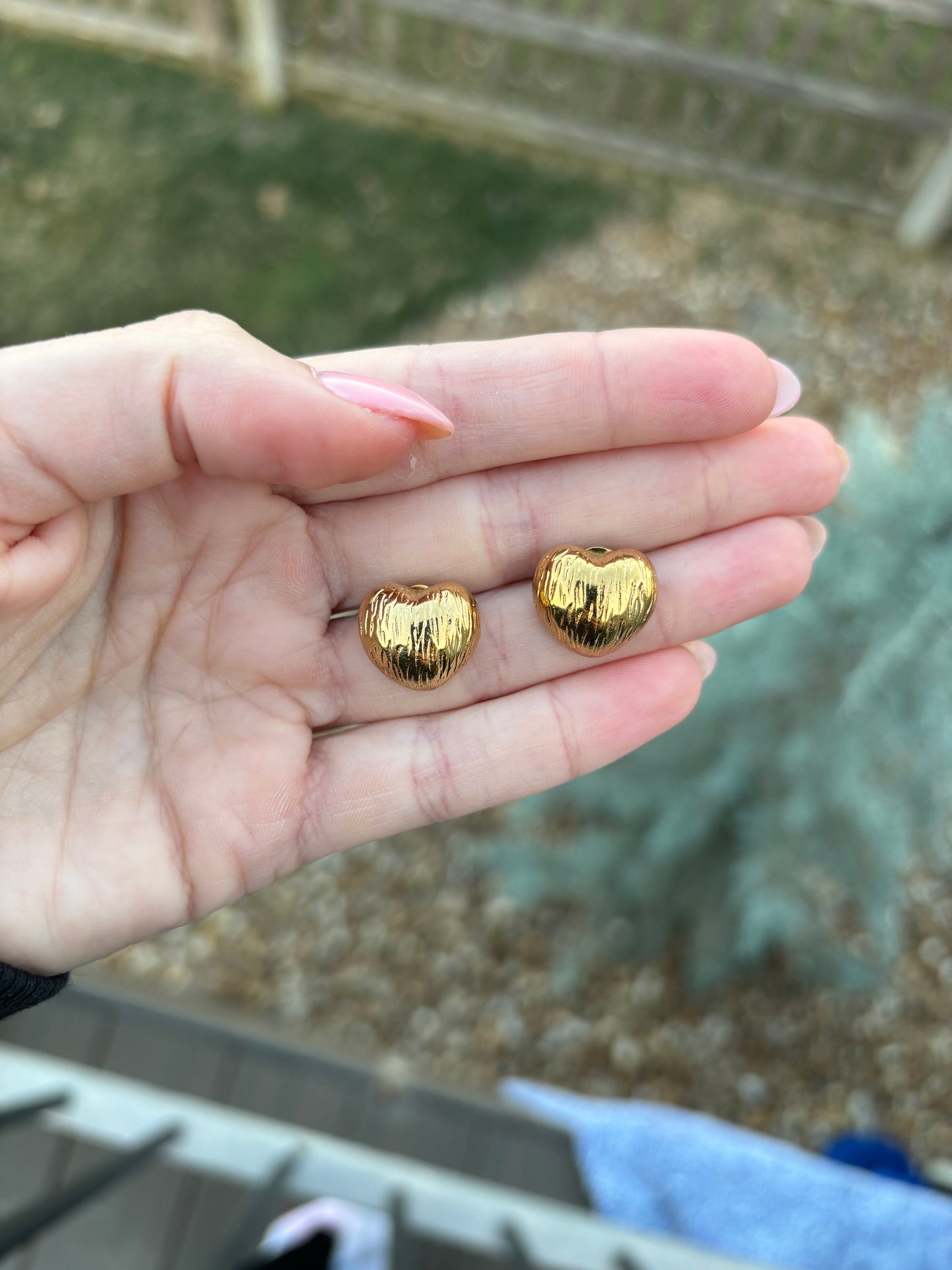 Heart Earrings